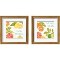 Framed Citrus Splash 2 Piece Framed Art Print Set