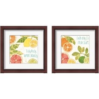 Framed Citrus Splash 2 Piece Framed Art Print Set
