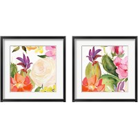 Framed 'Desert Rose 2 Piece Framed Art Print Set' border=