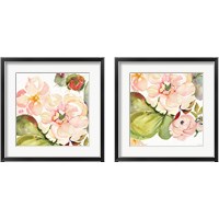 Framed Desert Rose 2 Piece Framed Art Print Set