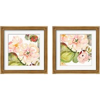 Framed Desert Rose 2 Piece Framed Art Print Set