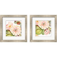 Framed 'Desert Rose 2 Piece Framed Art Print Set' border=