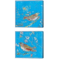 Framed Birds 2 Piece Canvas Print Set