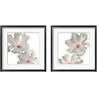 Framed Gray Blush Cosmos on White 2 Piece Framed Art Print Set