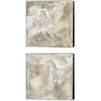 Framed 'White Horse 2 Piece Canvas Print Set' border=
