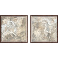 Framed 'White Horse 2 Piece Framed Art Print Set' border=