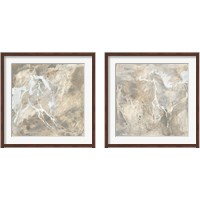 Framed White Horse 2 Piece Framed Art Print Set
