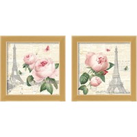 Framed Roses in Paris  2 Piece Framed Art Print Set