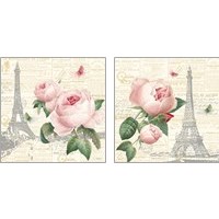 Framed Roses in Paris  2 Piece Art Print Set