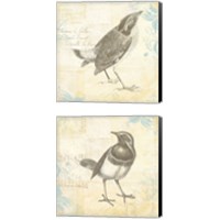 Framed Engraved Birds 2 Piece Canvas Print Set
