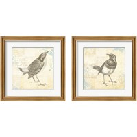 Framed Engraved Birds 2 Piece Framed Art Print Set