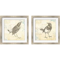 Framed 'Engraved Birds 2 Piece Framed Art Print Set' border=