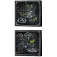 Framed Chalkboard Botanical 2 Piece Canvas Print Set