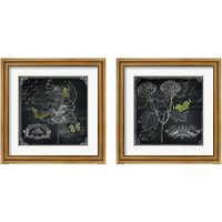 Framed 'Chalkboard Botanical 2 Piece Framed Art Print Set' border=