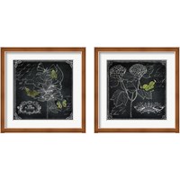 Framed 'Chalkboard Botanical 2 Piece Framed Art Print Set' border=