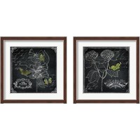 Framed Chalkboard Botanical 2 Piece Framed Art Print Set