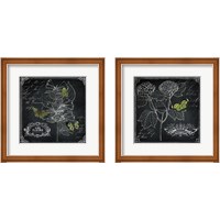 Framed 'Chalkboard Botanical 2 Piece Framed Art Print Set' border=