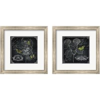 Framed Chalkboard Botanical 2 Piece Framed Art Print Set