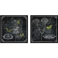 Framed 'Chalkboard Botanical 2 Piece Art Print Set' border=