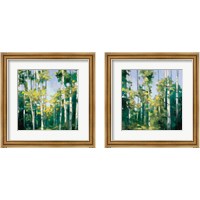 Framed Birches 2 Piece Framed Art Print Set