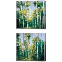 Framed 'Birches 2 Piece Canvas Print Set' border=