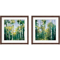 Framed 'Birches 2 Piece Framed Art Print Set' border=