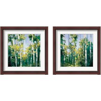 Framed 'Birches 2 Piece Framed Art Print Set' border=