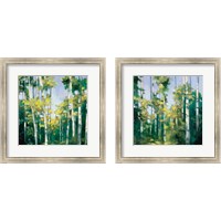 Framed Birches 2 Piece Framed Art Print Set