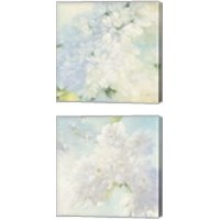 Framed Pear Blossoms 2 Piece Canvas Print Set