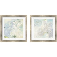 Framed Pear Blossoms 2 Piece Framed Art Print Set