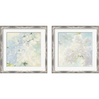 Framed 'Pear Blossoms 2 Piece Framed Art Print Set' border=