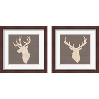 Framed Rustic Eleganceon Gray Wood 2 Piece Framed Art Print Set