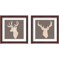 Framed Rustic Eleganceon Gray Wood 2 Piece Framed Art Print Set