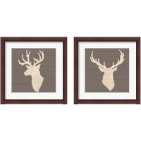 Framed 'Rustic Eleganceon Gray Wood 2 Piece Framed Art Print Set' border=