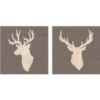Framed 'Rustic Eleganceon Gray Wood 2 Piece Art Print Set' border=