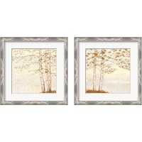 Framed Golden Birch Off White 2 Piece Framed Art Print Set