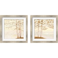 Framed Golden Birch Off White 2 Piece Framed Art Print Set