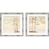 Framed 'Golden Birch Off White 2 Piece Framed Art Print Set' border=