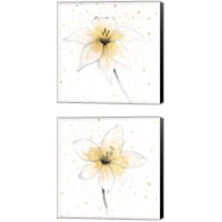 Framed 'Gilded Graphite Floral 2 Piece Canvas Print Set' border=