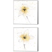 Framed 'Gilded Graphite Floral 2 Piece Canvas Print Set' border=