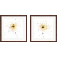 Framed 'Gilded Graphite Floral 2 Piece Framed Art Print Set' border=