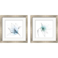 Framed Blue Graphite Flower 2 Piece Framed Art Print Set