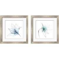 Framed 'Blue Graphite Flower 2 Piece Framed Art Print Set' border=