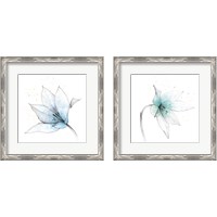 Framed 'Blue Graphite Flower 2 Piece Framed Art Print Set' border=
