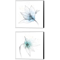 Framed Blue Graphite Flower 2 Piece Canvas Print Set