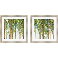 Framed Forest Study 2 Piece Framed Art Print Set