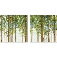 Framed Forest Study 2 Piece Art Print Set
