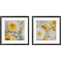 Framed Sunshine 2 Piece Framed Art Print Set