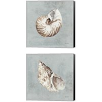 Framed 'Sand and Seashells  2 Piece Canvas Print Set' border=