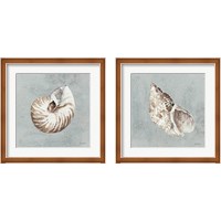 Framed 'Sand and Seashells  2 Piece Framed Art Print Set' border=